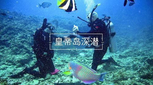 调兵遣将飞机打击